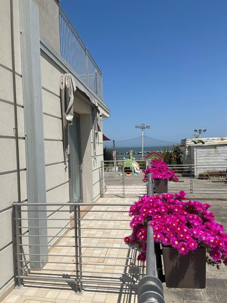 Hotel & Residence Cavalluccio Marino Rimini Luaran gambar